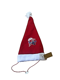 Kedi Köpek Yılbaşı Şapkası Spider-Man Desenli