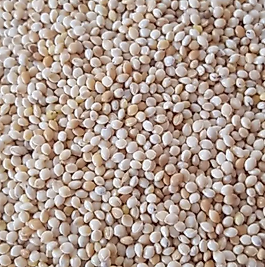 Ak Darı Açık Kuş Yemi (500 g)